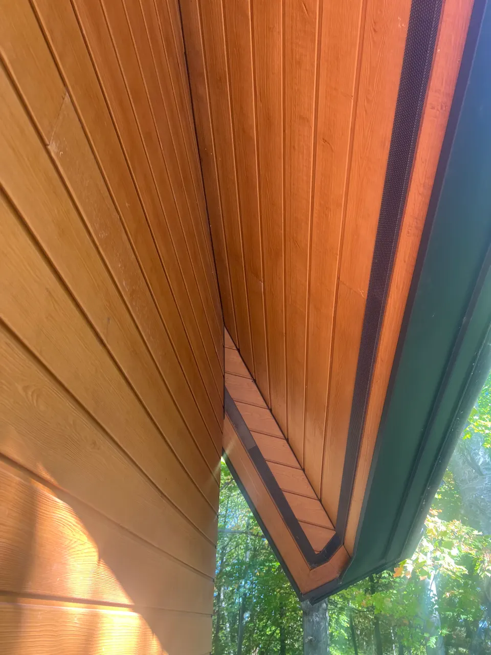 Cedar cathedral soffit detail against blue sky